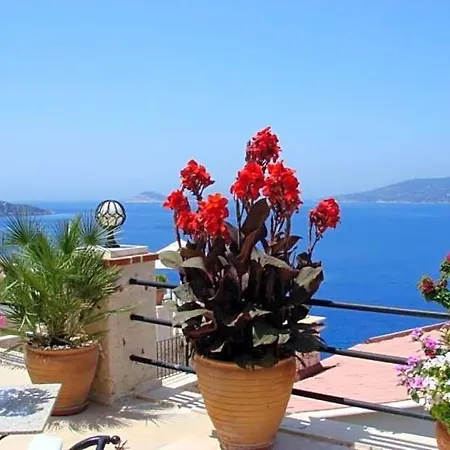 فيلة Sleeps 8 Pool Air Con Wifi كالكان
